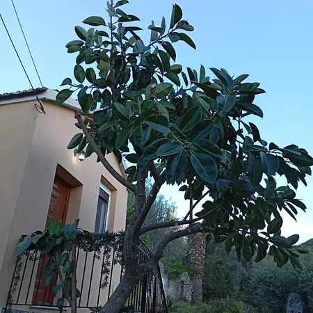 Araklis House Ithaca Tatil Evi *
